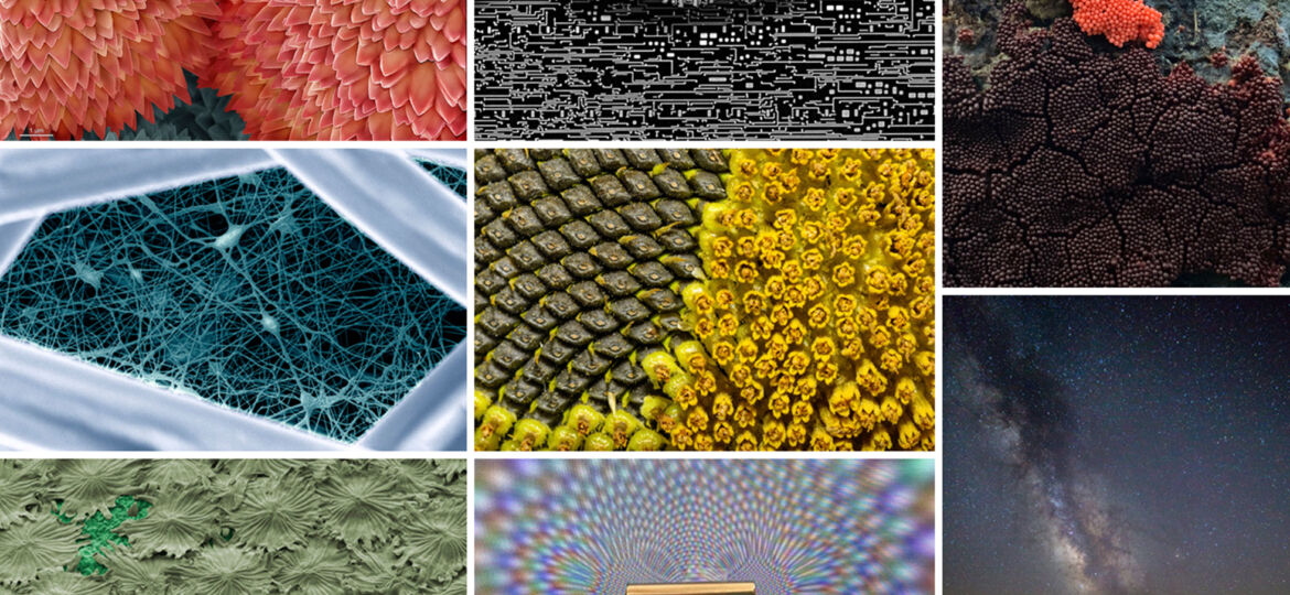 FOTCIENCIA