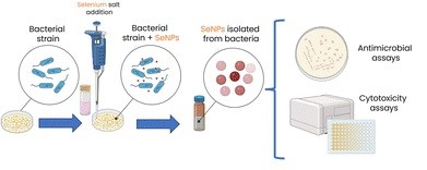 Chemi2023_RSC
