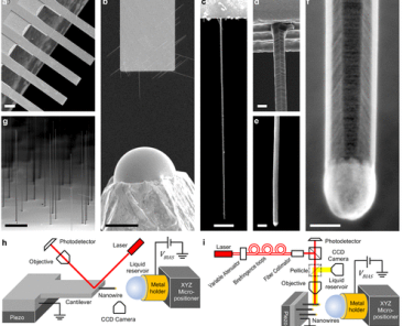 Javier_Escobar_NanomechanicalSensing_NanoLetters