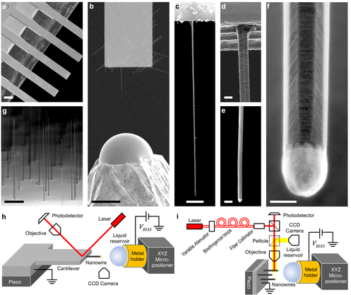 Javier_Escobar_NanomechanicalSensing_NanoLetters