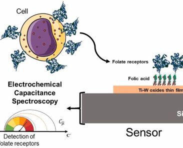Chemi2024_Biosensors_Bioelectronics