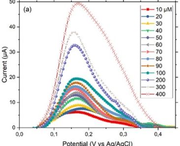 Chemi2024_Catalysts