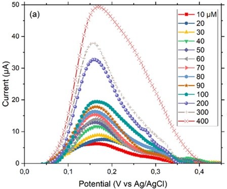 Chemi2024_Catalysts