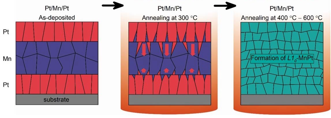 Chemi2024_Phys_Sc